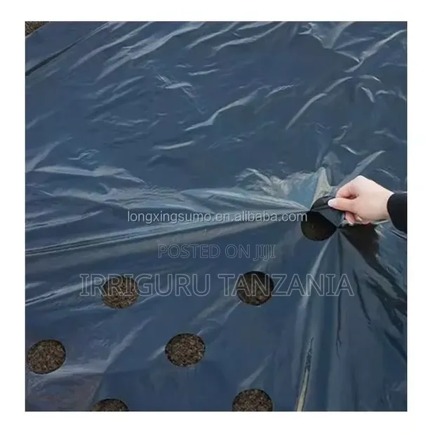 Carrot Mulch Film - 1