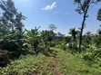 3.8 Acres Commercial Plot for Sale, Arusha - 2