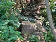 3.8 Acres Commercial Plot for Sale, Arusha - 3