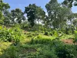 3.8 Acres Commercial Plot for Sale, Arusha - 4
