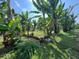 3.8 Acres Commercial Plot for Sale, Arusha - 5