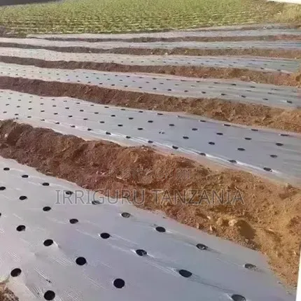Bean Mulch Film - 1
