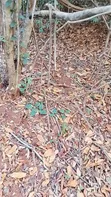 500 Acres Farmland for Sale, Mbwewe Pwani - 1