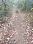 100 Acres Farm Land for Sale, Miono, Chalinze - 1
