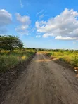 Land for Sale: 26 Plots in Madale Mbopo Kinondo - 2