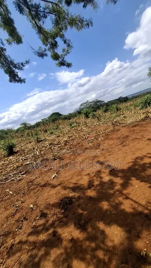 Hector 42 Acres Land for Sale, Morogoro Mikese
