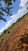 Hector 42 Acres Land for Sale, Morogoro Mikese - 3