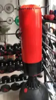 Bodyfit Punching and Kicking Bag - 1
