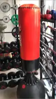 Bodyfit Punching and Kicking Bag - 2