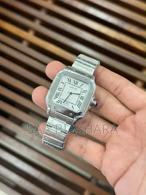 Cartier Santos Large Model Silver
