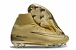Nike Air Zoom Gold Sports Shoes - 1