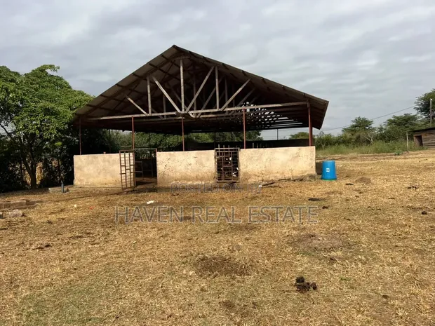 Premium Investment Land in Arusha-Mateves (Near AFCON Stadium) - 1