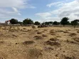 Premium Investment Land in Arusha-Mateves (Near AFCON Stadium) - 3