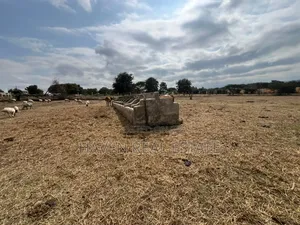 Premium Investment Land in Arusha-Mateves (Near AFCON Stadium)
