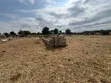 Premium Investment Land in Arusha-Mateves (Near AFCON Stadium) - 4