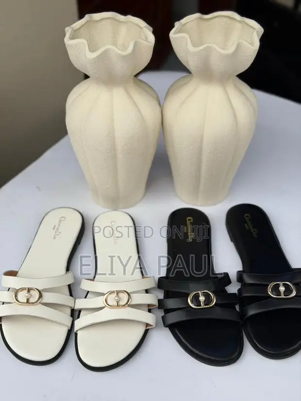 Christian Dior Slides - Brand New - 1