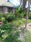4 Bedroom House for Sale in Halisi, Ilala - 4