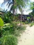 4 Bedroom House for Sale in Halisi, Ilala - 5