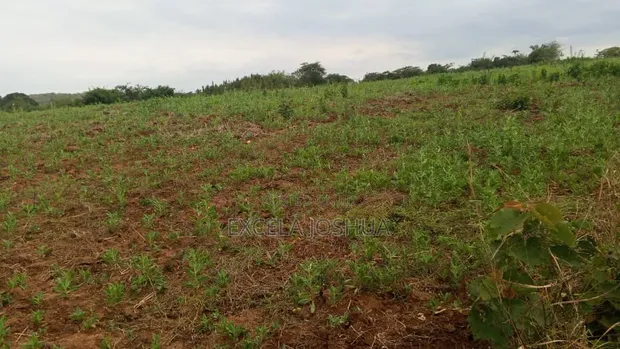 Excellent 30-Acre Farm for Sale in Mbwewe, Chalinze - 1