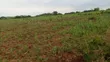 Excellent 30-Acre Farm for Sale in Mbwewe, Chalinze - 1