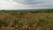 Excellent 30-Acre Farm for Sale in Mbwewe, Chalinze - 4