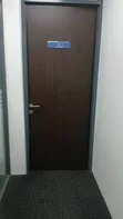 Flush Doors - Custom Sizes & Designs - 1