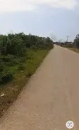 Plot for Sale in Nungwi, Zanzibar - 1