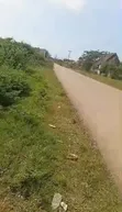 Plot for Sale in Nungwi, Zanzibar - 4