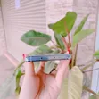 New Huawei P30 256GB Green - 5