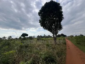 30 Acres Premium Plot in Kisarawe, Tanzania