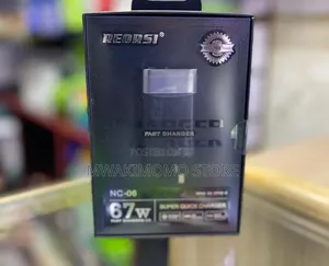 RECRSI 67W Fast Charger