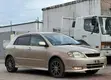 Toyota Allex 2005 Gold - 3