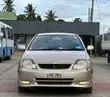 Toyota Allex 2005 Gold - 5