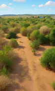 Residential Land for Sale in Kiwangwa - 1