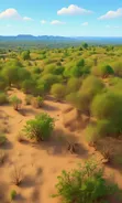 Residential Land for Sale in Kiwangwa - 2