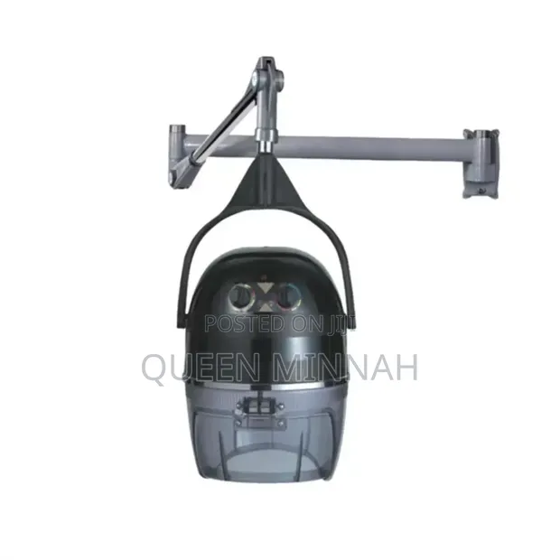 Wall-Mounted Hair Dryer & Salon Steamer - 1