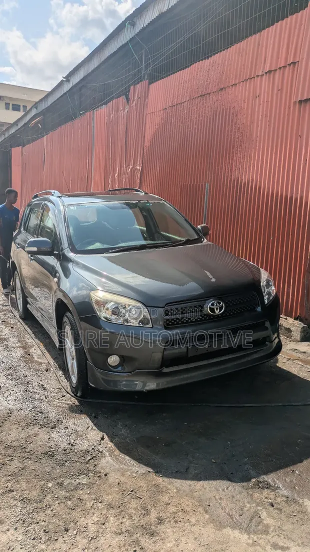 Toyota RAV4 2007 Gray - 1