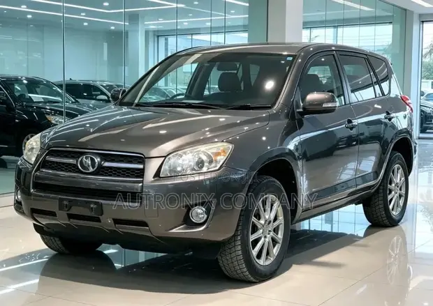 Toyota RAV4 2010 Metallic Gray - 1