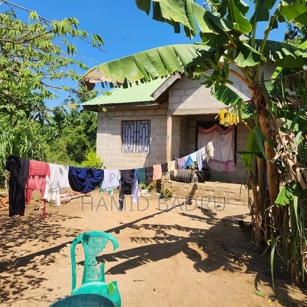 Land for Sale in Dege, 2000 sqm - 1