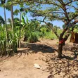Kiwanja Kinauzwa Dege, sqm 2000 - 2
