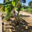Kiwanja Kinauzwa Dege, sqm 2000 - 4