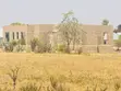 Kiwanja Kinauzwa Buswelu - Ilalila (Jirani na Shule za Nebrix) - 2