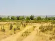 Kiwanja Kinauzwa Buswelu - Ilalila (Jirani na Shule za Nebrix) - 5