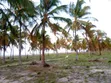 Prime Residential Plots for Sale in Kilomo, Bagamoyo - 1