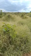 Prime Residential Plots for Sale in Kilomo, Bagamoyo - 3