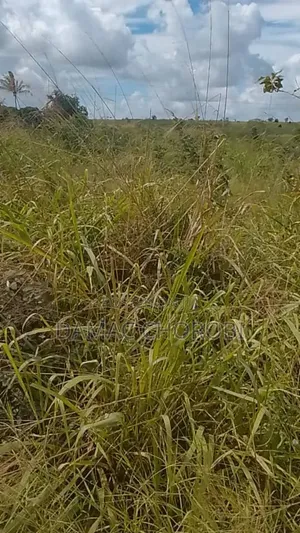 Prime Residential Plots for Sale in Kilomo, Bagamoyo