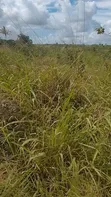 Prime Residential Plots for Sale in Kilomo, Bagamoyo - 4