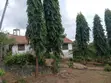 3-Bedroom House for Sale in Mbezi Beach, Mcharo Homes - 4