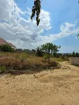 Kiwanja Kinauzwa Madale Msigani (800 sqm) - 4