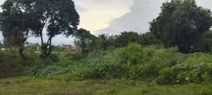 Land Plot Near Gezaurole Beach, Kigamboni - 2986 sqm